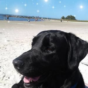 Meet your Posher, Laura